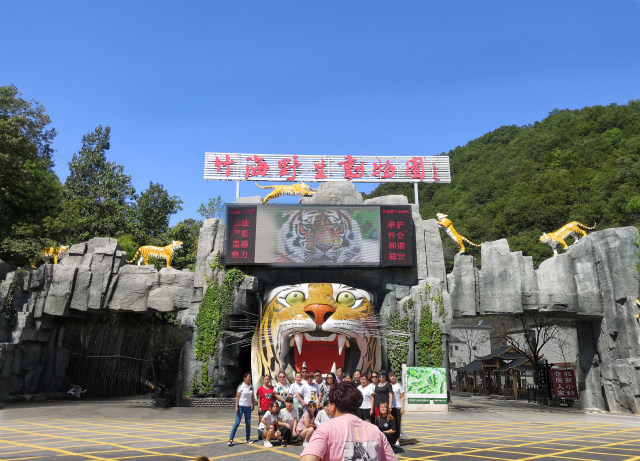 爱游宝|图文编辑更简单