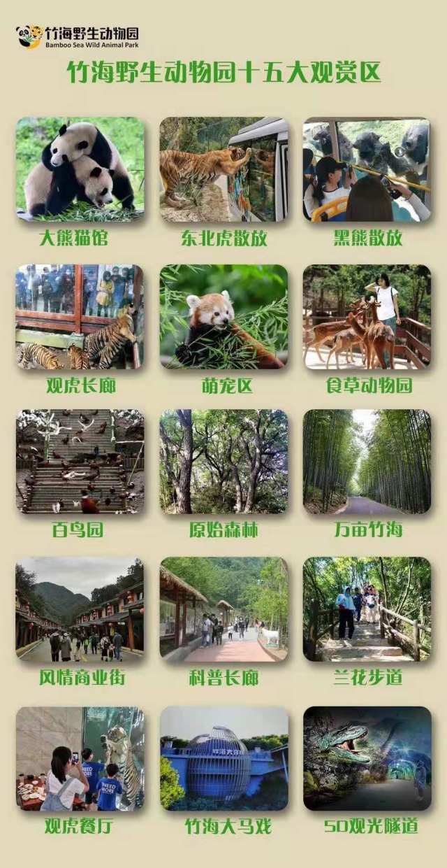 爱游宝|图文编辑更简单