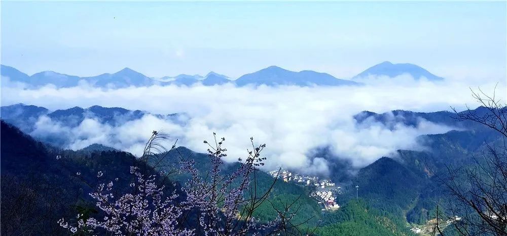 【咸宁之美】崇阳大岭村：藏在云海里的仙境|大岭|咸宁|云海_新浪新闻